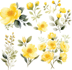 Set of Yellow Watercolor Flower Vector watercolor painted flower. Hand drawn flower design elements isolated on white background.