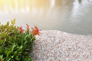 Beautiful landscape of outdoor garden show colorful plant, textured rock and ripple water in the lake.Image use for natural background. - 724392961