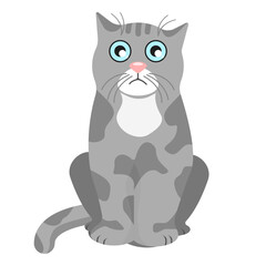 Cute, gray, sad cat sitting, isolated on a white background. Vector illustration of a pet for textiles, cards.