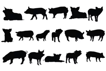 Fotobehang Set of pig silhouette icon logo template vector illustration design © irawan