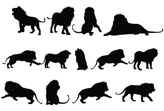 Set of Lion silhouette icon logo template vector illustration design