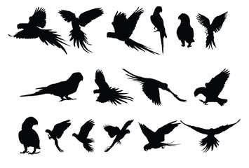 Set of cockatoo silhouette icon logo template vector illustration design - obrazy, fototapety, plakaty