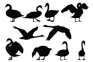 Set of swan silhouette icon logo template vector illustration design - obrazy, fototapety, plakaty