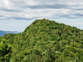 Karangahake Mountain summit. View from hiking track.