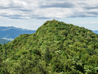 Karangahake Mountain summit. View from hiking track.