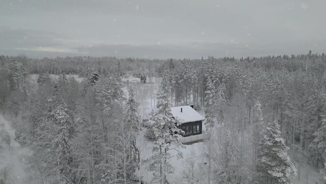 Aerial view of solitary cabin in snowy forest