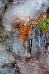 Colors in ice from embedded plants in Bolton Notch, Connecticut.