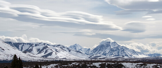 Majestic snowcapped mountains under lenticular clouds in the spring in Denali National Park in...