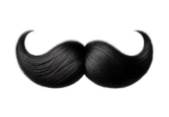 Black curly mustache beard isolated on white background