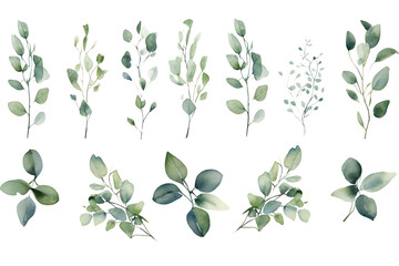 Eucalyptus Watercolor Seamless Border Set for Sage Green Wedding Invitations - obrazy, fototapety, plakaty