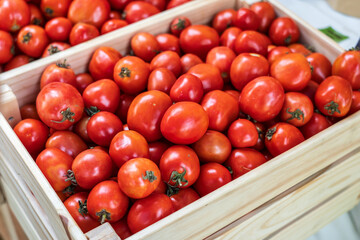Pile of Ripe Cherry Tomatoes in wooden crate ready for cooking for sale in stall at the organic market of Thailand.