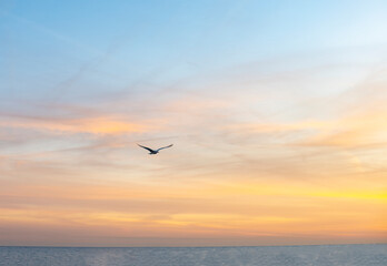 sunset over the sea