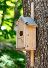 A birdhouse hangs on a tree in summer