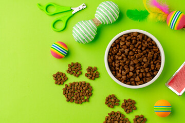 Pet bowl with dry food on green background studio shot