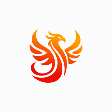Modern Phoenix logo design template, vector illustration