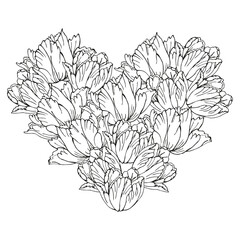 Line art spring tulips flower hearts background, hand drawn floral elements for Valentines day. Vector illustrations for card or invitations, coloring book