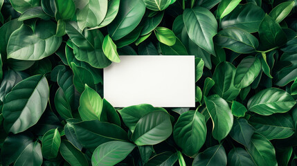 stunning background pattern with leaves, incorporating a central white board