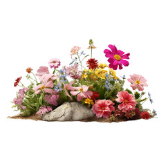 Flower bed flower isolated on transparent background