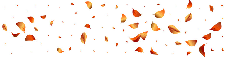 Forest Foliage Motion Vector White Panoramic