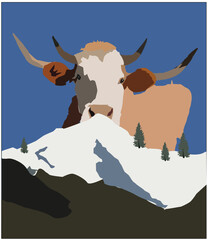 cow in the mountains