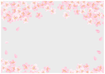 Obraz na płótnie Canvas 桜の花が美しい春の桜フレーム背景25灰色