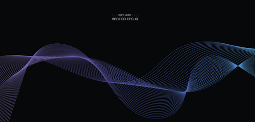 Vector wavy lines pattern smooth curve flowing dynamic blue purple pink gradient light isolated on black background for concept of technology, digital, communication, science, music.