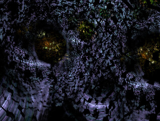 Imaginatory fractal abstract background Image