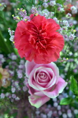 Bouguet, rose and carnation. Flowers background. Pink and red flowers in bunch.