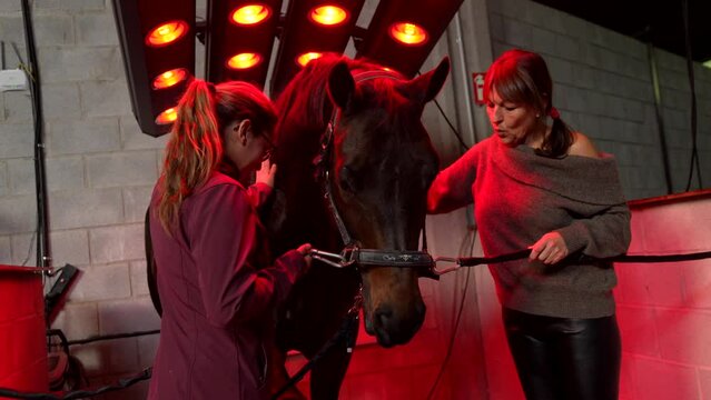 Women with horse in an innovative animal solarium in a rehabilitation center