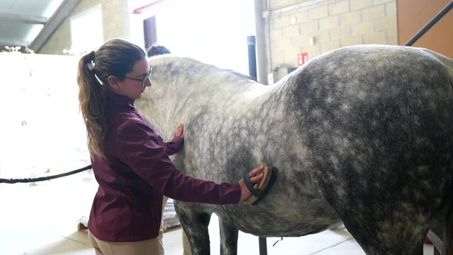 Side view of a woman and man brushing a horse in stable