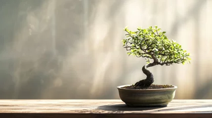 Fotobehang Photo of an eye-catching bonsai tree with detailed small leaves and neatly cut branches, placed on a wooden table with a neutral colored wall background, Ai generated Images © mohammad