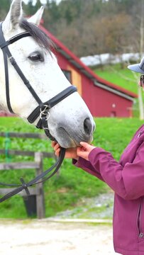 Woman with protective gear standing embracing her horse in equestrian center