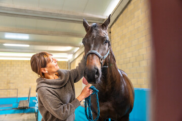 Veterinary caressing a horse after hydrotherapy on a center - obrazy, fototapety, plakaty