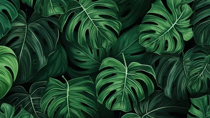Fotobehang Abstract foliage and botanical background. Green tropical forest wallpaper of monstera leaves, palm leaf, branches in hand drawn pattern. Exotic plants background for banner, prints, decor, wall art.  © Dzakir