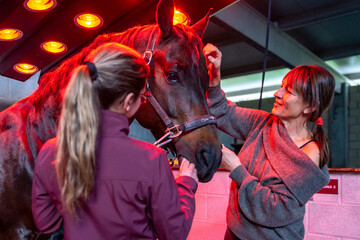 Women with horse in an innovative animal solarium