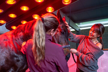 Women caressing a horse under the warmth of a solarium