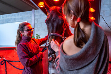 Innovative solarium with red warmth lights for animals