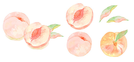 水彩で描いた美味しそうな桃のイラスト素材セット
