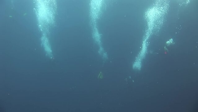 Bubbles from divers in Caribbean Sea in Bahamas. While diving in Bahamas, divers can expect to encounter an incredible variety of marine life.