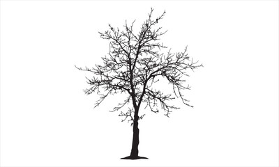 Tree with brunch  silhouette Vecto9r art wark design element Concepts