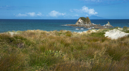 Coast and ocean at Mangawhai heads New Zealand. Dunes and grass. 