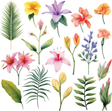 Realistic tropical botanical foliage plants. Set of tropical leaves and flowers Hand painted watercolor illustration isolated on white.