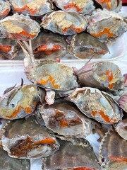 a crab cut in half that is fresh and full of eggs