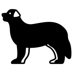 Bernese Mountain dog glyph and line vector illustration