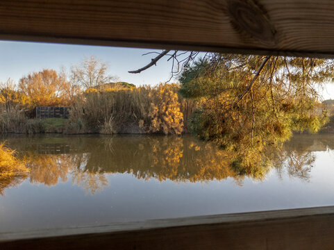 Vista de una laguna desde un observatorio de p&aacute;jaros