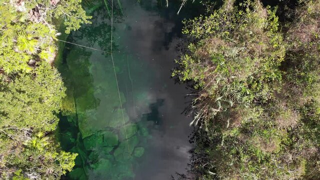 Cenote escondido, cerca del pueblo de Tulum, exploraci&oacute;n de buzos, turismo de aventura