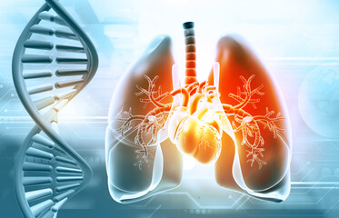 Human respratory system with DNA strand. 3d illustration. - obrazy, fototapety, plakaty