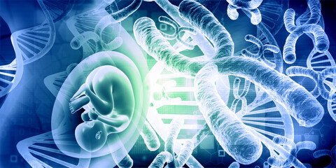 Human chromosome with fetus. 3d illustration. © Rasi
