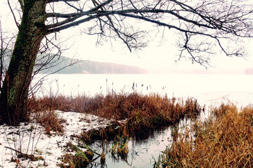 Ghosty frozen winter forest and lake