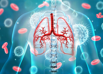 Human lungs virus infection. 3d illustration..
